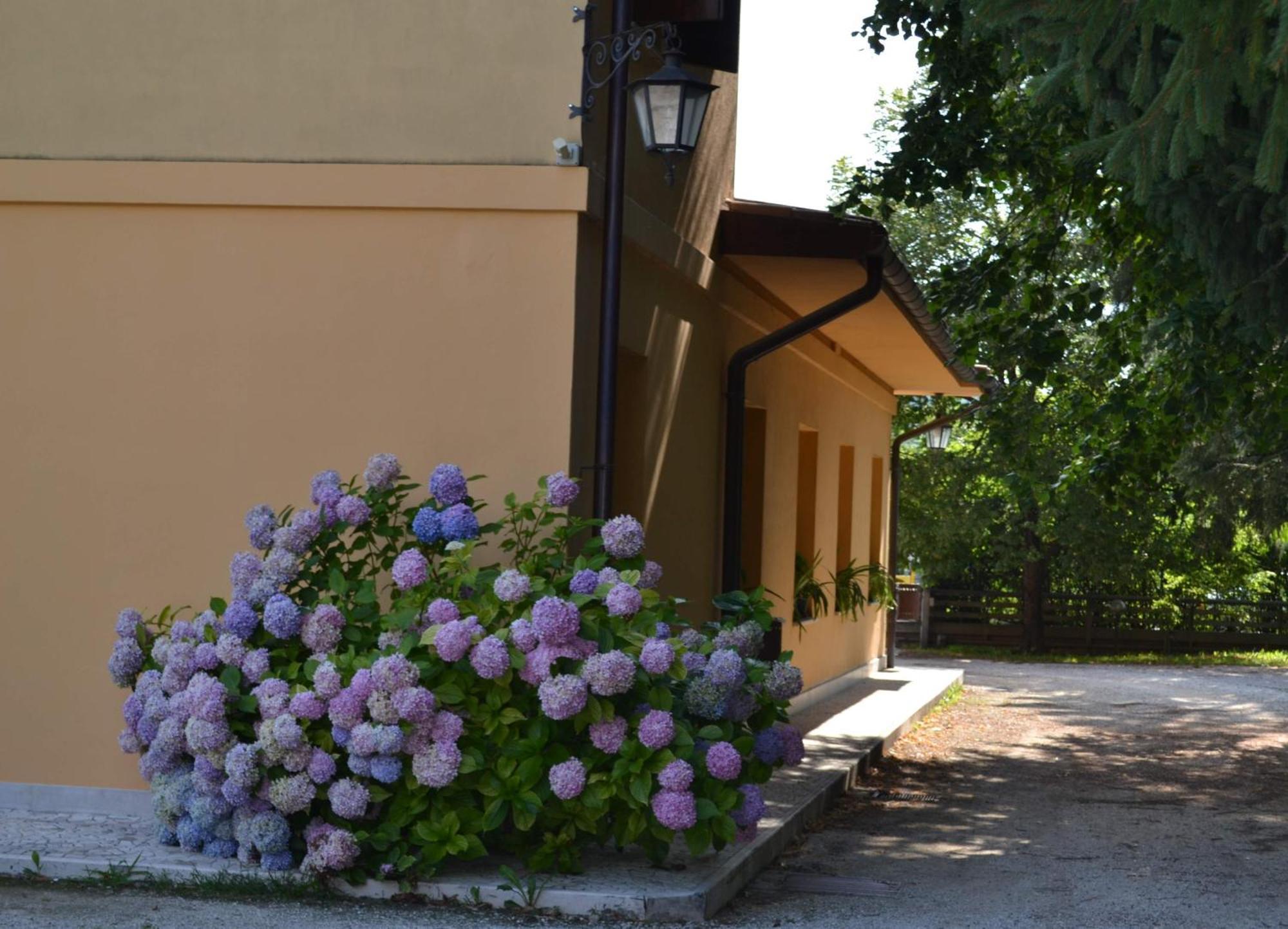 Albergo Da Gildo Follina ภายนอก รูปภาพ